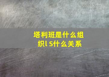 塔利班是什么组织l S什么关系